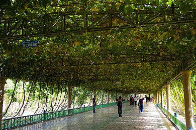 归来仍是少年！皇子变咸鱼，前来驾到啦！